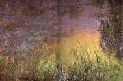 Claude Monet Water Lilies at Sunset china oil painting reproduction